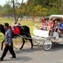 함안 승마장 이미지