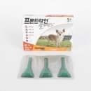 강일 동물약국 이미지