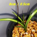 진성산전 이미지