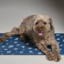 바오로약국 이미지