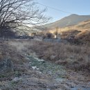 상북초등학교소호분교장 이미지