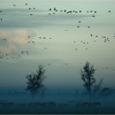 리버벨리 이미지