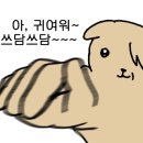 몽앤미