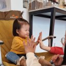 멍멍아준비땅 이미지