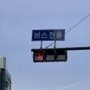 신호등카써비스 이미지