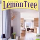 레몬트리 이미지