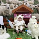 리틀시드홈플러스청주점 | 홈플러스 오창점 문화센터 _ 리틀자이언트 후기