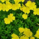 글쓰기책쓰기 - (642) 글을 쓰는 사람의 삶 - ② 자신과의 싸움을 위한 감정컨트롤, 어떻게 해야 할까?/ 최옥정 작가 이미지