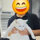 포레스트 캣호텔 이미지