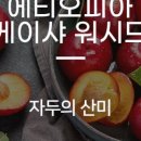 커피향과일향 이미지