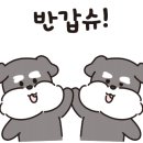 퍼피스프링 강서점 이미지