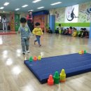 화랑체능스쿨 이미지