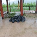 고잔고등학교 이미지