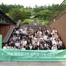 꿈나무로 이미지