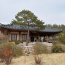 해밀 | 군위 사유원 | 당일치기 도슨트 투어, 해밀여행사 후기