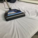 더더더아로마숲속