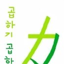 호 계 로 이미지