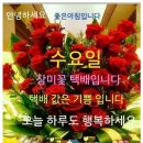 🌹수수하게 웃는 수요일! 신나게 웃으며 시작합시다ㅎㅎ 이미지