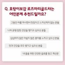 골드로즈마리