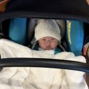 고슴도치작은도서관 | [review] 아이를 낳은 소감을 정리해봤다👶🏻 (고슴도치맘 주의..)