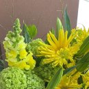 블레스유 이미지