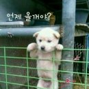 다이어트태권도장 이미지