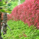 해상공원 이미지