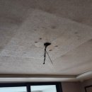 파주대방노블랜드아파트내108동놀이터 | 금촌 대방노블랜드 LED 전등 교체 후기💡집 분위기가 달라졌어요! (by 파주 진하우스)