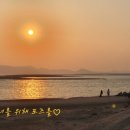석양을 품은 물고기 네이버블로그
