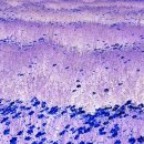 우리주차장 이미지