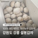 설봉농장 | [강릉설봉감자] 맛좋은 감자고추장찌개·감자샐러드 레시피 공유해요