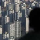 소유부동산중개법인 이미지