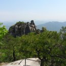 서향원 Daum카페