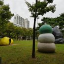 형형색색의바위들 이미지