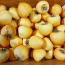 토속농장 이미지