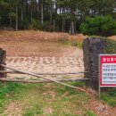 제주 올레길 16코스 이미지