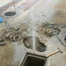 동면주유소 이미지