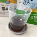(주)함소아 | 함소아코끼리 내돈내산 간단후기 코건강 지킴이