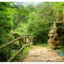 얼음골생태길 이미지