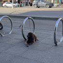 037-1 | [MEL037] 맥도날드 키링 | 요가홀릭 | 교통사고 | 일주일 뚜벅이