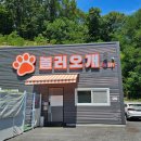 송정 애견호텔 | [놀러오개 송정점]휴가철 애견호텔 추천 경기광주 애견호텔 후기