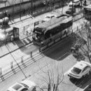 빛 살 -울림 이미지