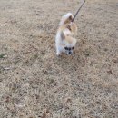 가산공원 풋살장 이미지