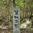 새동안길 | 해남 달마고도 완주 후기, 미황사에서 시작하는 달마산 명품길