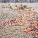 방갈로민박 이미지