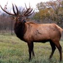 동의서면한의원 이미지