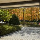 가나몬테소리 | 육아 고수가 꿈이지만 책만 읽는 일상