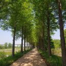 온라인 커뮤니티 역사와 자연이 공존하는 충남 공주에서 이번 여름, 이미지