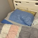 수정할매곰탕 | 광주 시엘병원 1차 동결배아이식 후기 4일배아 이식과정 및 주의사항 총정리 난자,정자질 올리는 방법...