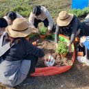 고남초등학교 이미지
